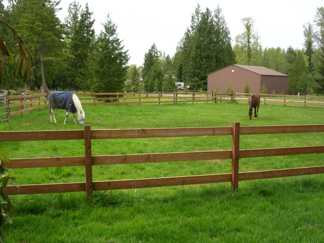 Front grass paddock